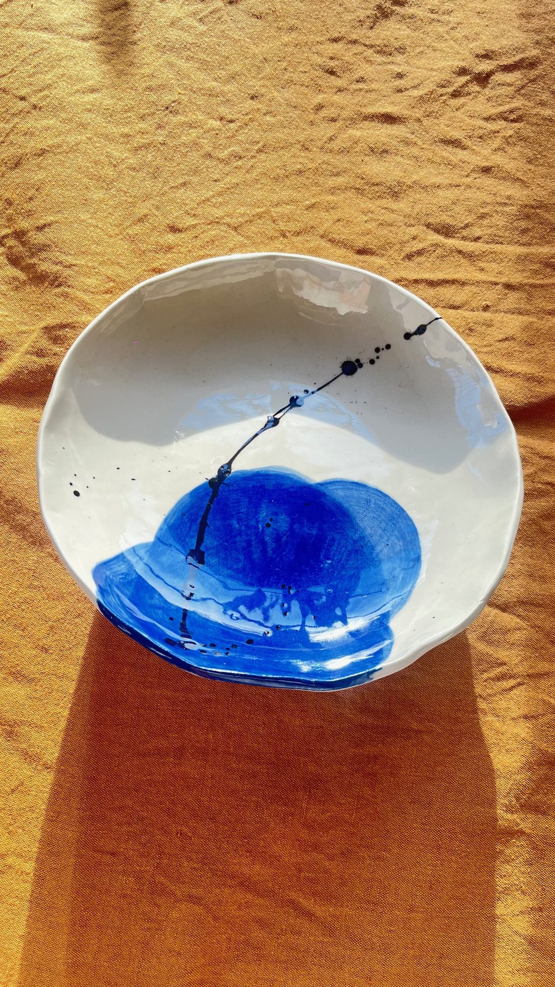 Assiette émaillée bleu et blanc