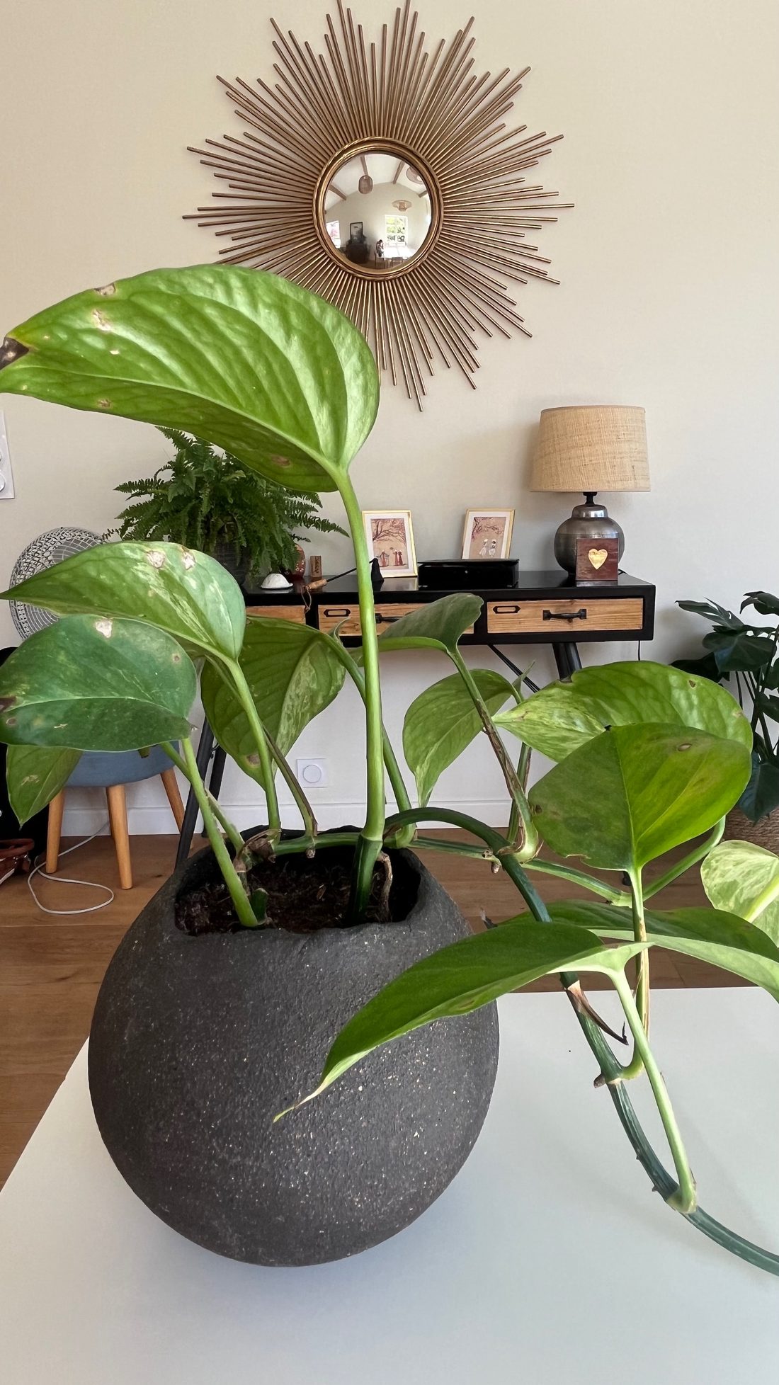 Vase noir dans un intérieur